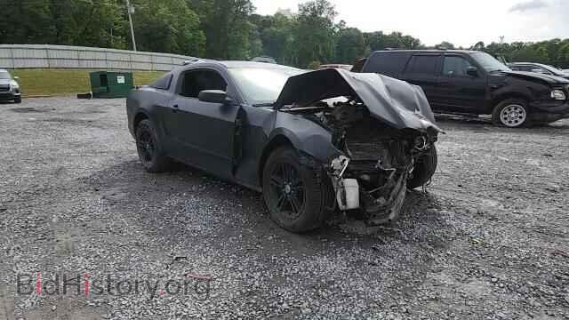 2013 FORD MUSTANG - VIN: 1ZVBP8AM2D5261009 - Фото 13