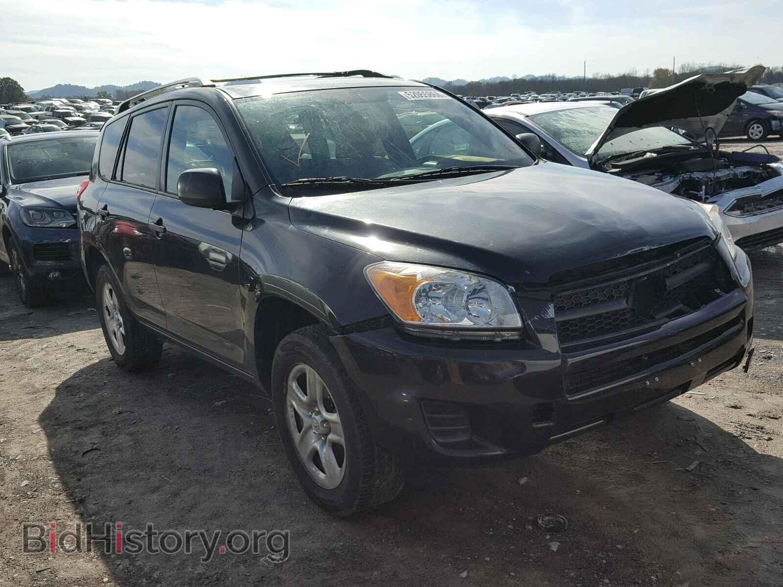 Фотография 2T3BF4DV6BW141061 - TOYOTA RAV4 2011