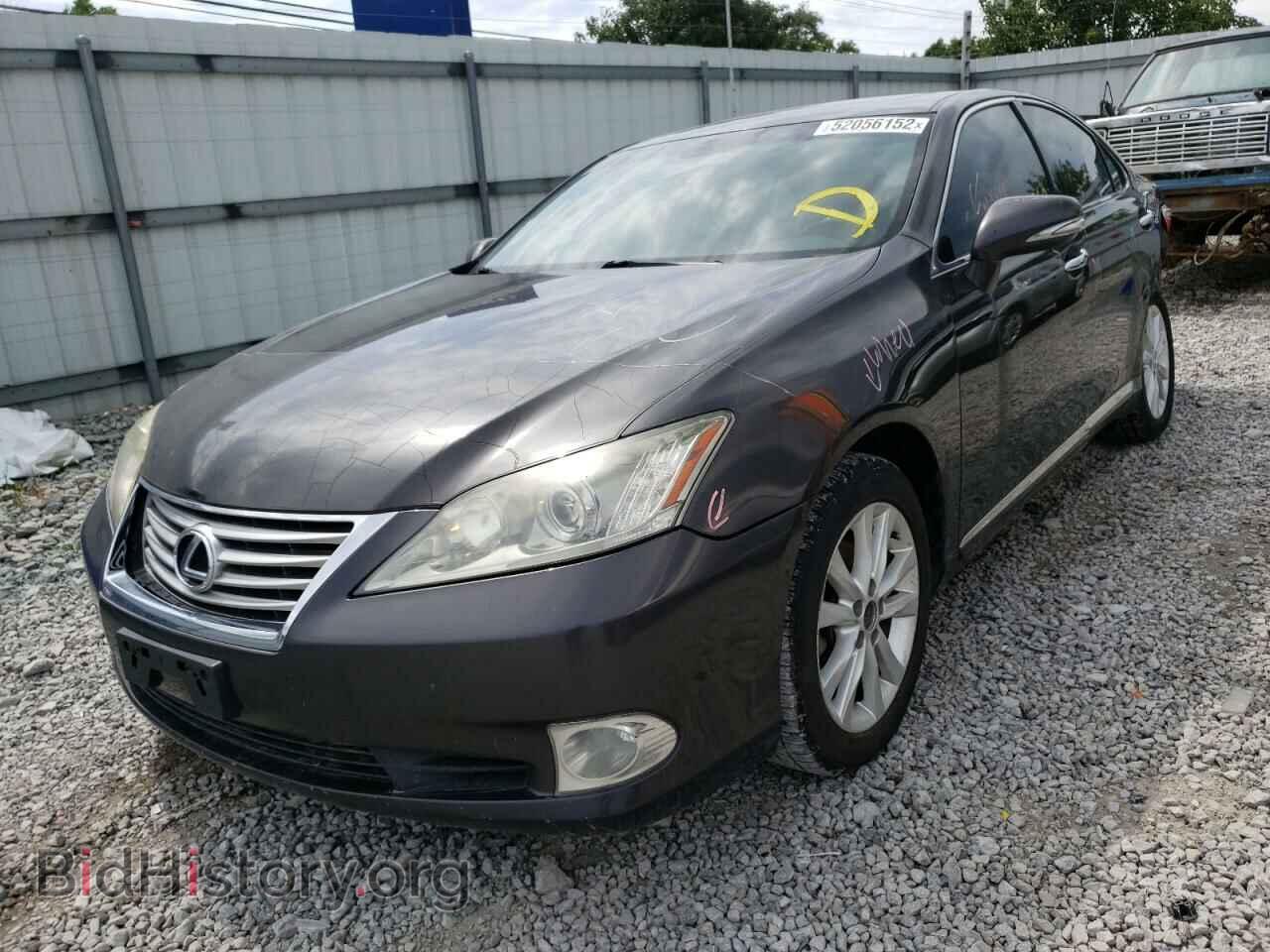 2011 LEXUS ES350 - VIN: JTHBK1EG3B2423465 - Фото 2