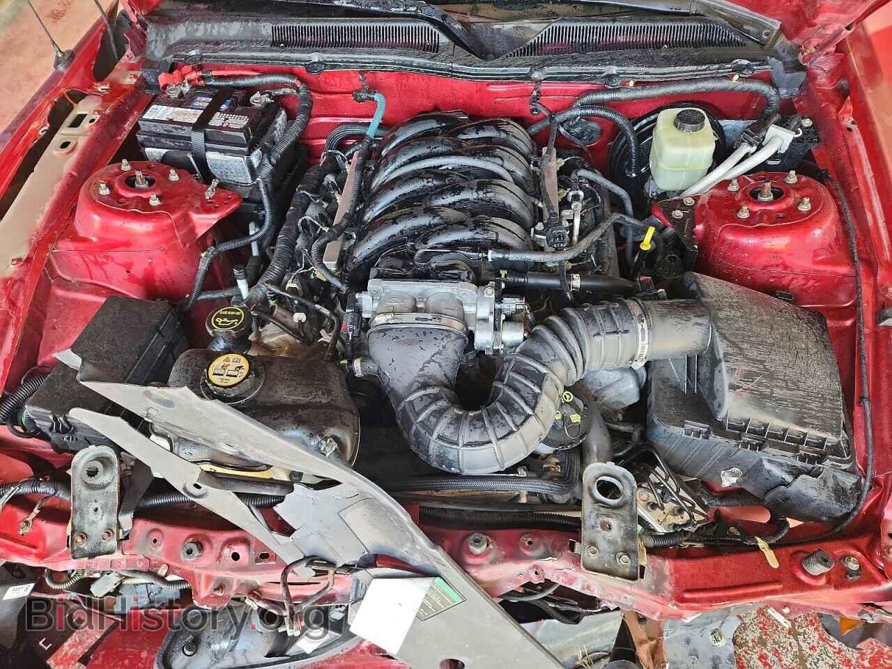 2006 FORD MUSTANG - VIN: 1ZVHT82H865174886 - Фото 11