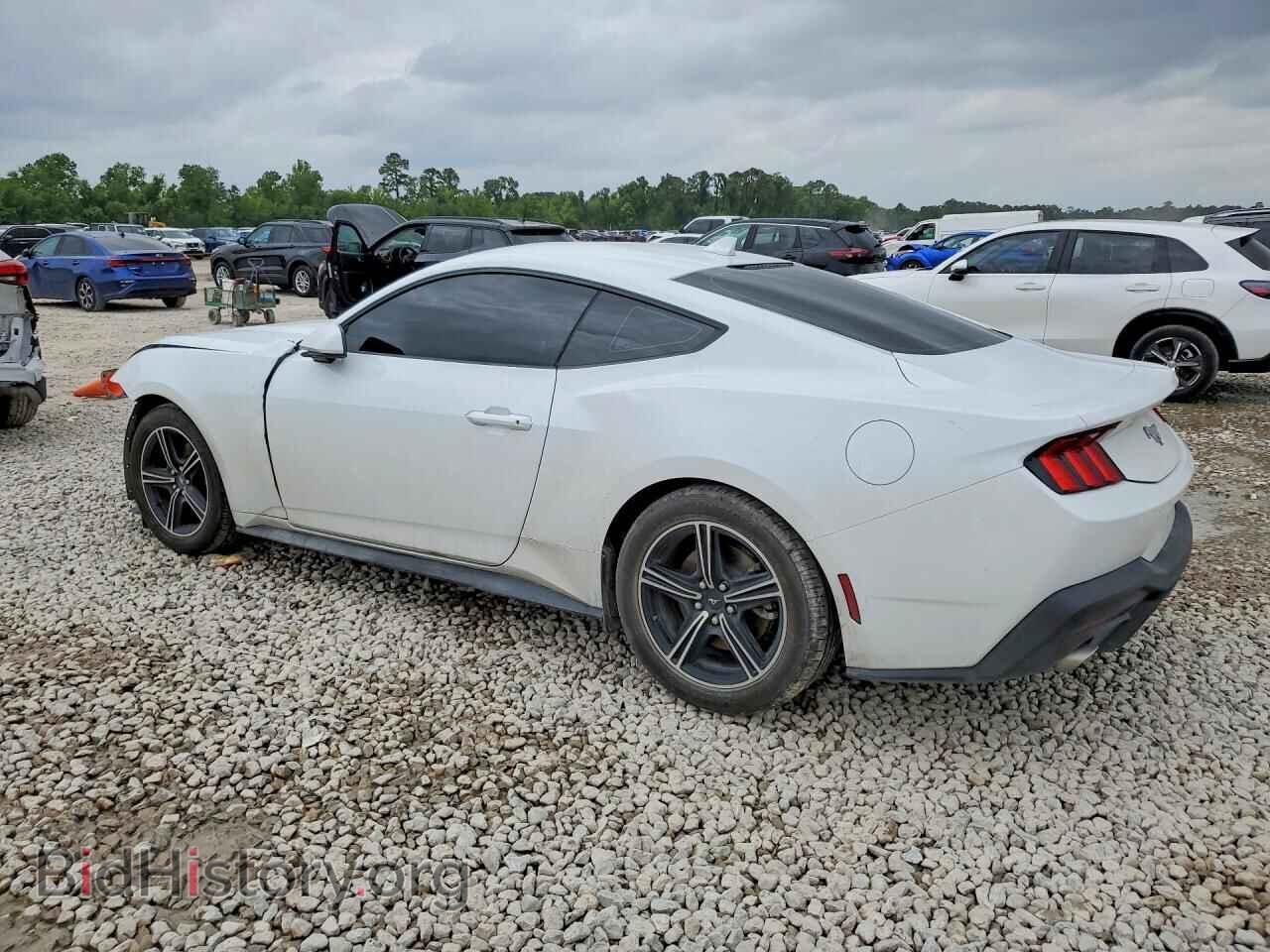 2024 FORD MUSTANG - VIN: 1FA6P8TH8R5138395 - Фото 2