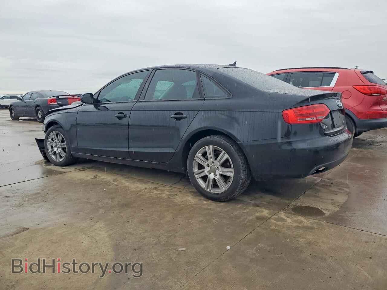 2010 AUDI A4 - VIN: WAUAFAFL8AN058062 - Фото 2