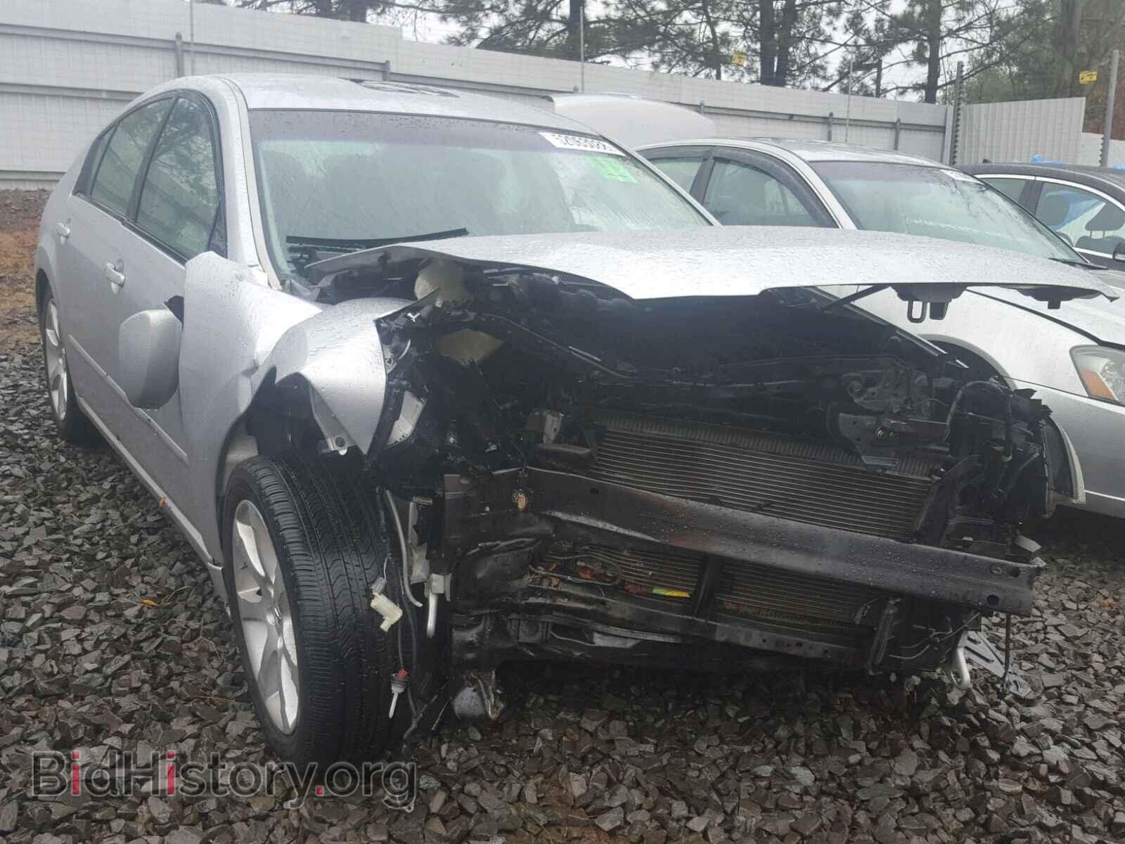 Photo 1N4BA41E58C830741 - NISSAN MAXIMA 2008