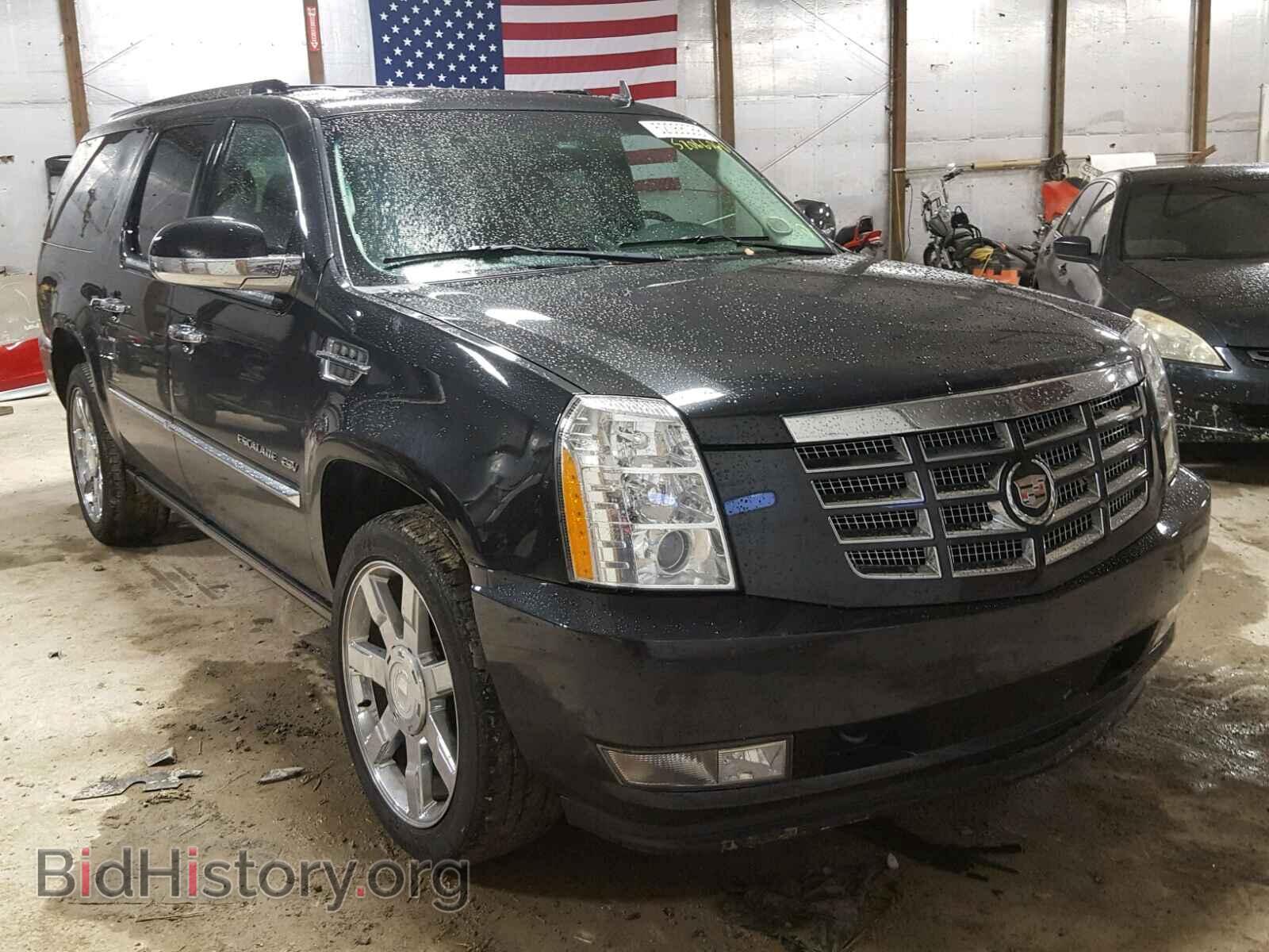 Photo 1GYS4JEF8BR385736 - CADILLAC ESCALADE E 2011