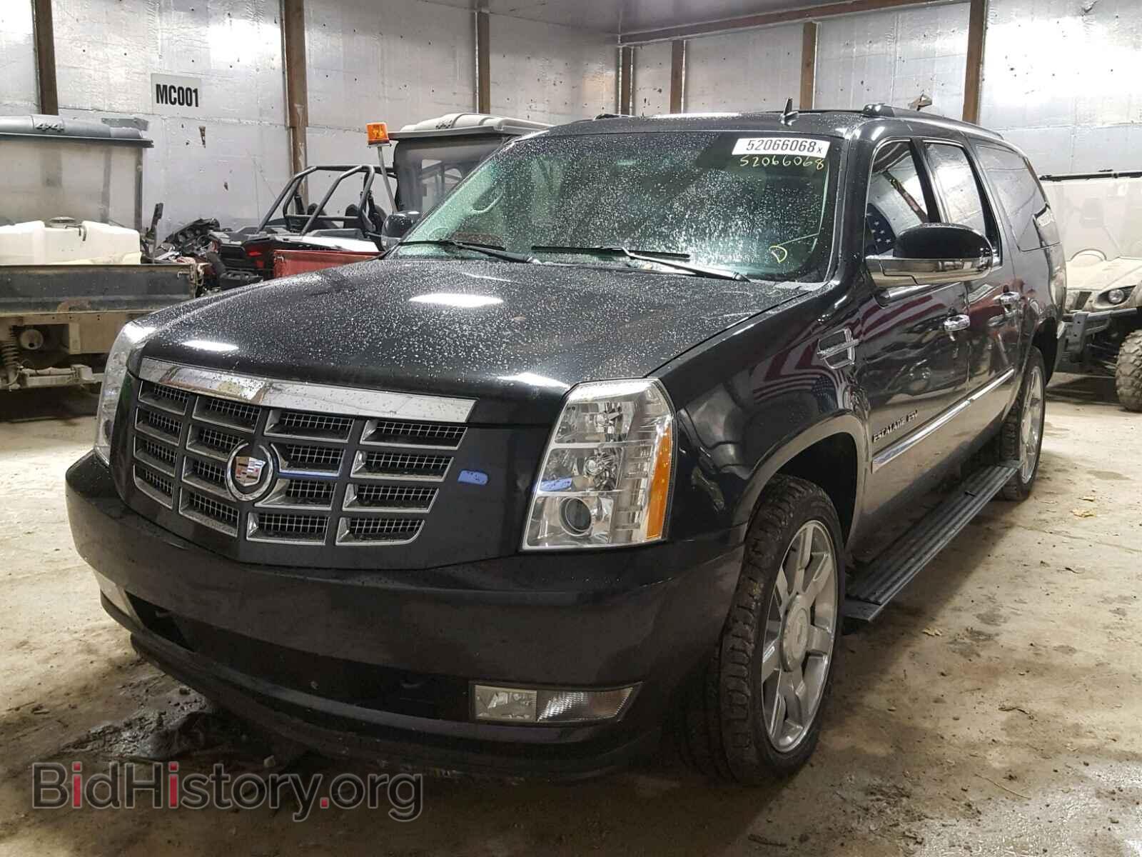 2011 CADILLAC ESCALADE E - VIN: 1GYS4JEF8BR385736 - Фото 2