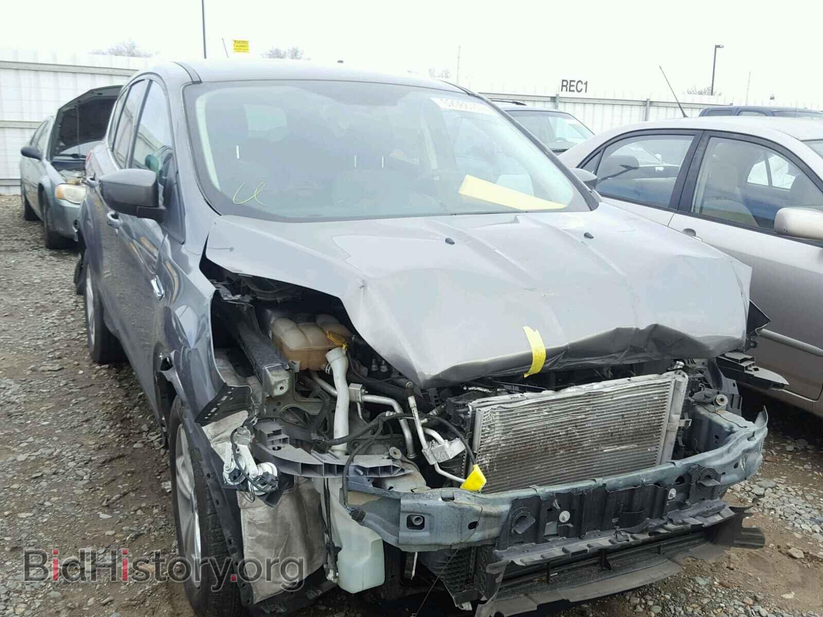 Фотография 1FMCU0GX5EUD45654 - FORD ESCAPE 2014