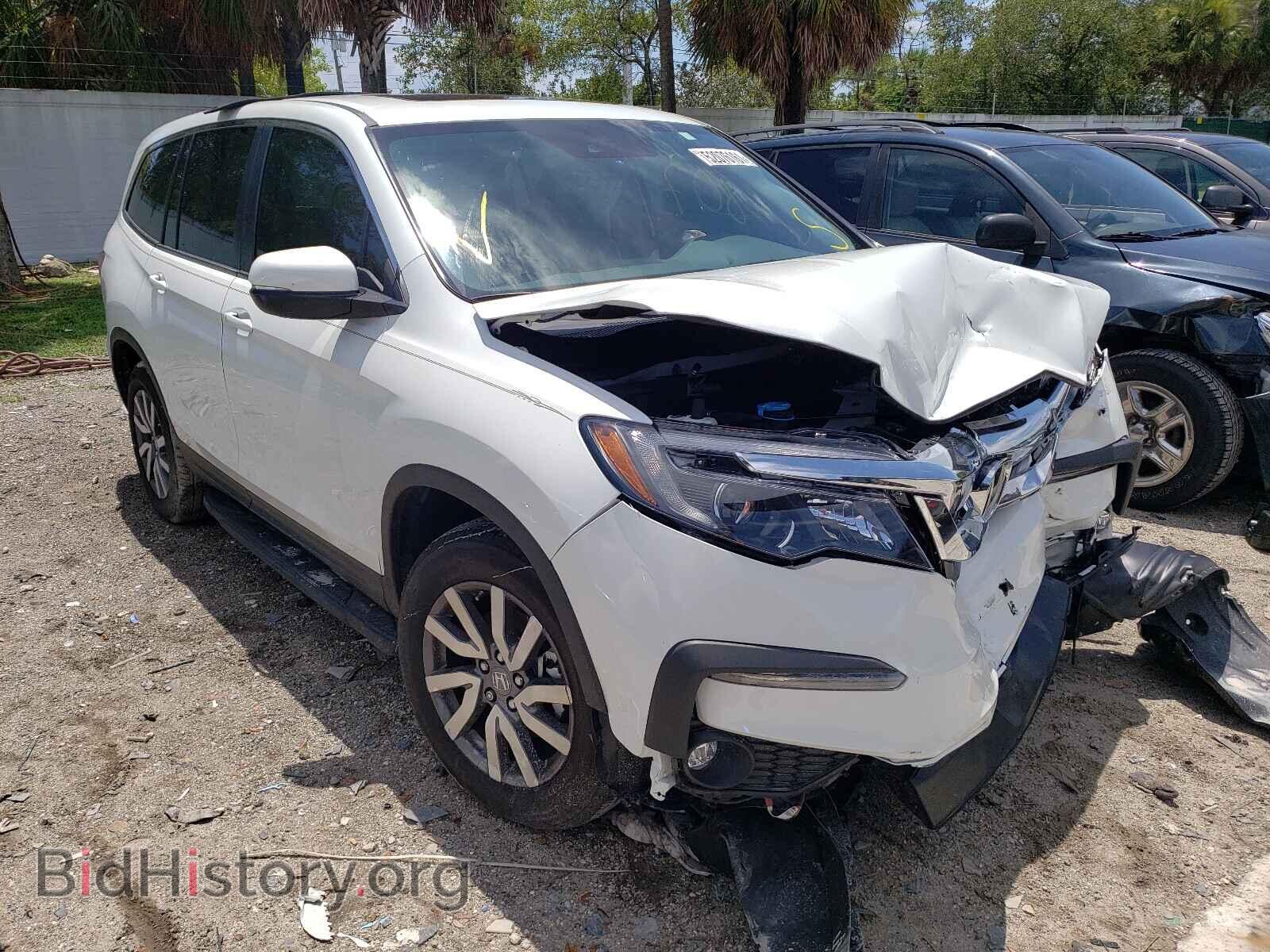 Photo 5FNYF5H55MB031122 - HONDA PILOT 2021