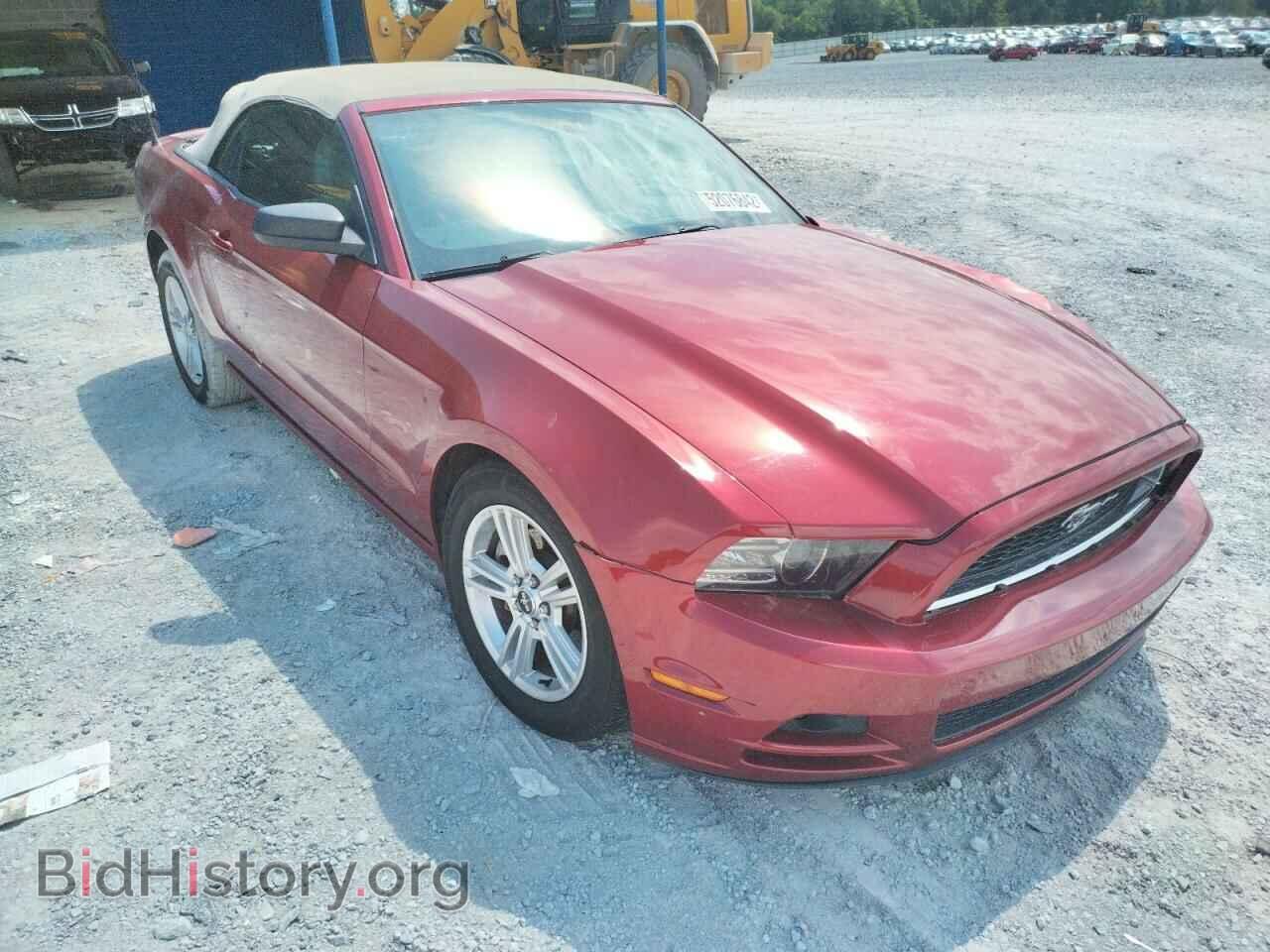 Фотография 1ZVBP8EM9E5320648 - FORD MUSTANG 2014
