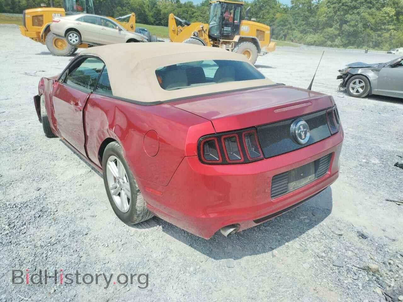 2014 FORD MUSTANG - VIN: 1ZVBP8EM9E5320648 - Фото 3