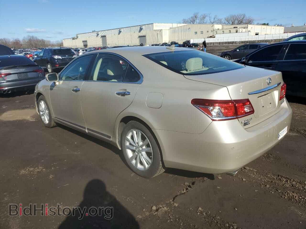 2010 LEXUS ES350 - VIN: JTHBK1EG5A2378043 - Фото 2