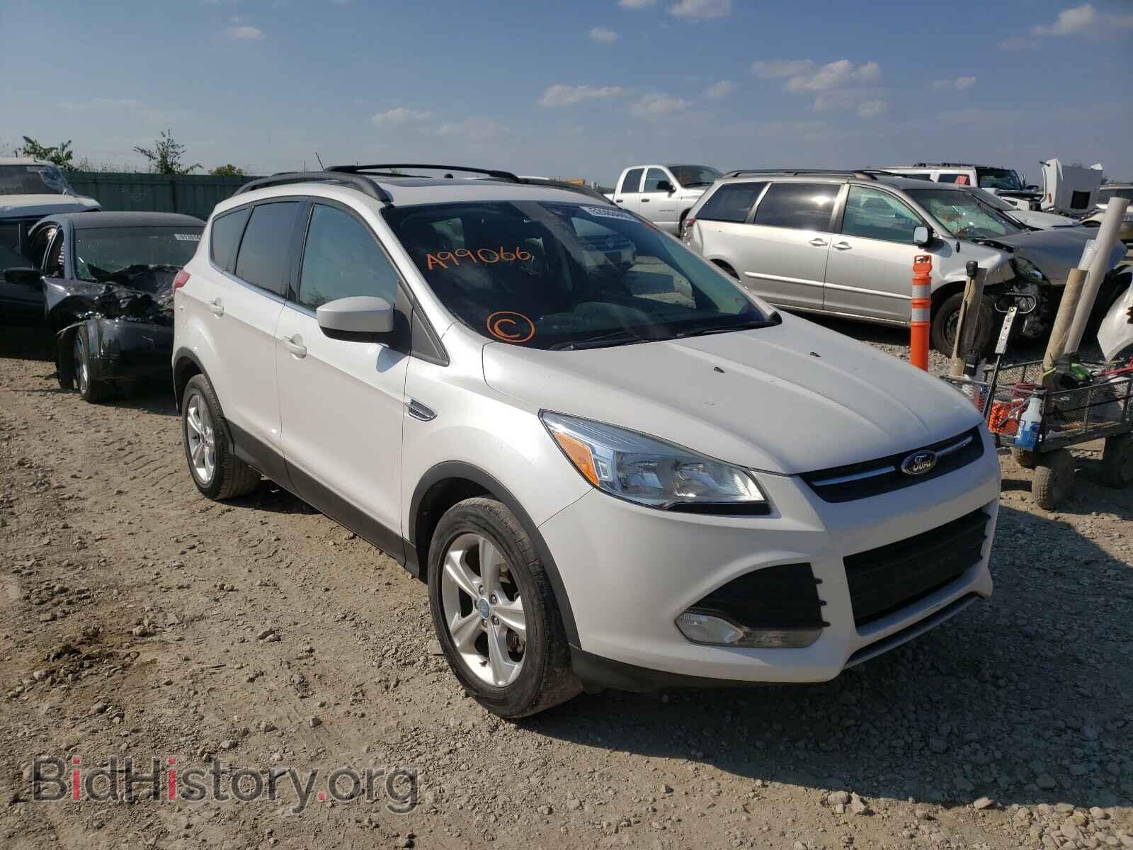 Photo 1FMCU0GX8DUA99066 - FORD ESCAPE 2013