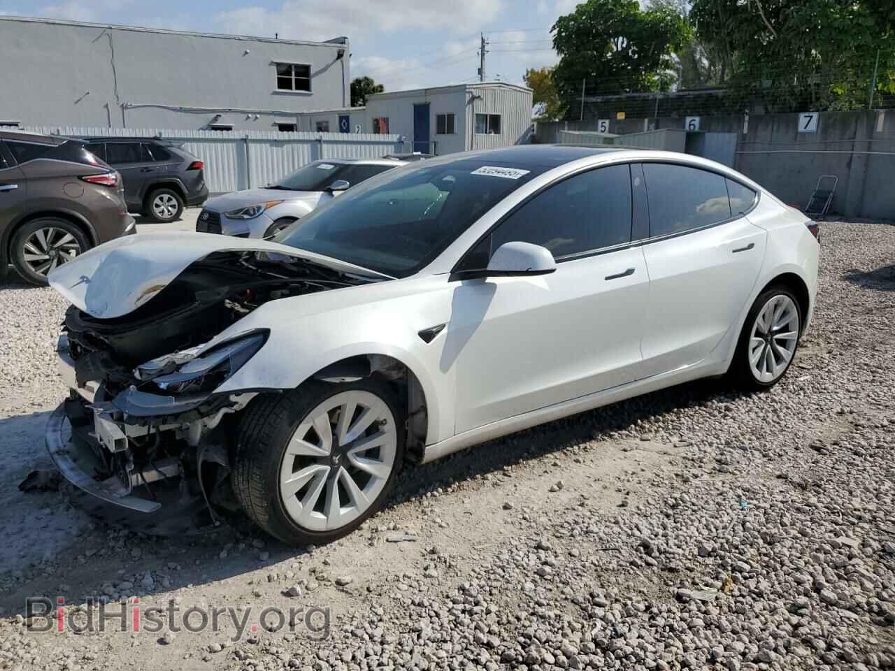 Photo 5YJ3E1EA6PF510323 - TESLA MODEL 3 2023