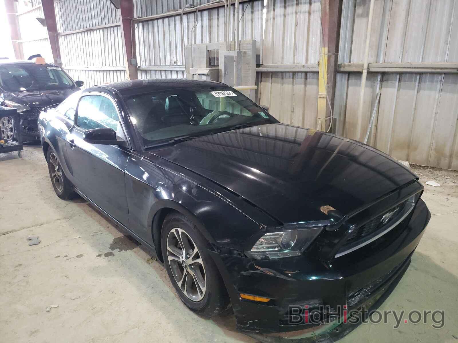 Photo 1ZVBP8AM4E5285944 - FORD MUSTANG 2014