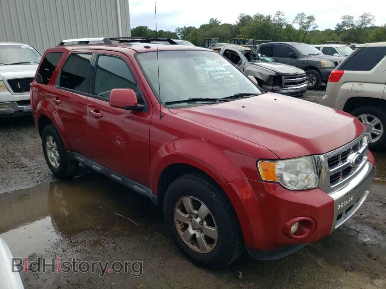 Фотография 1FMCU0EG3BKB21826 - FORD ESCAPE 2011