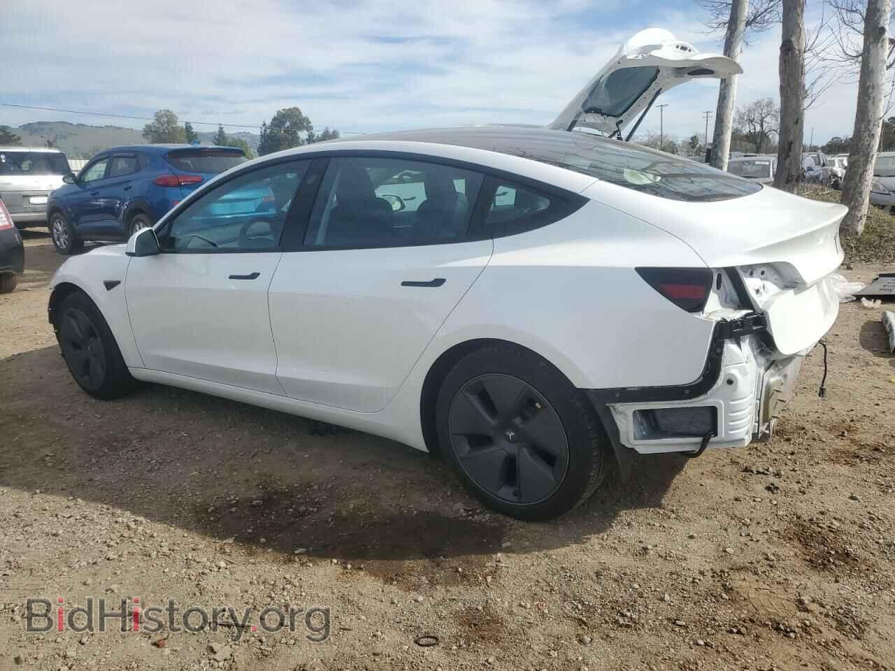 2023 TESLA MODEL 3 - VIN: 5YJ3E1EA9PF546149 - Photo 2
