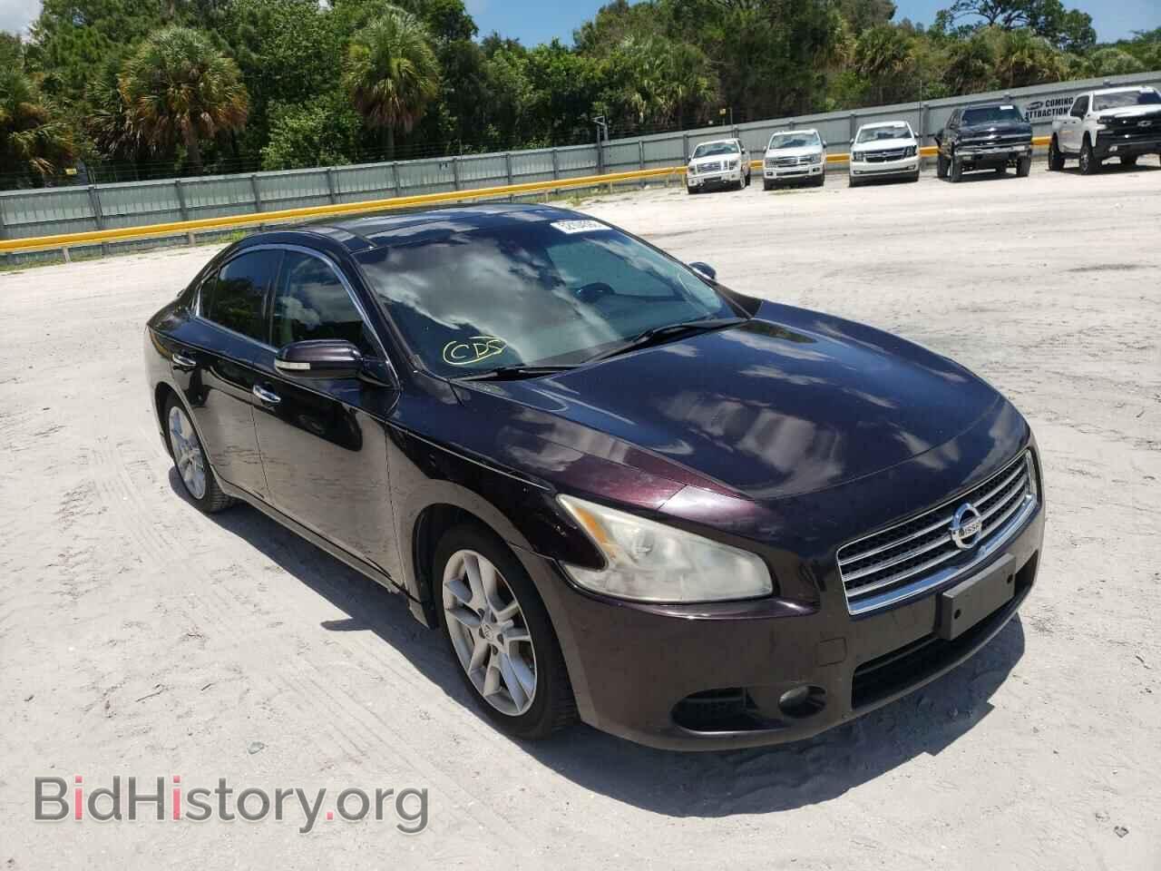 Фотография 1N4AA5AP9AC853304 - NISSAN MAXIMA 2010