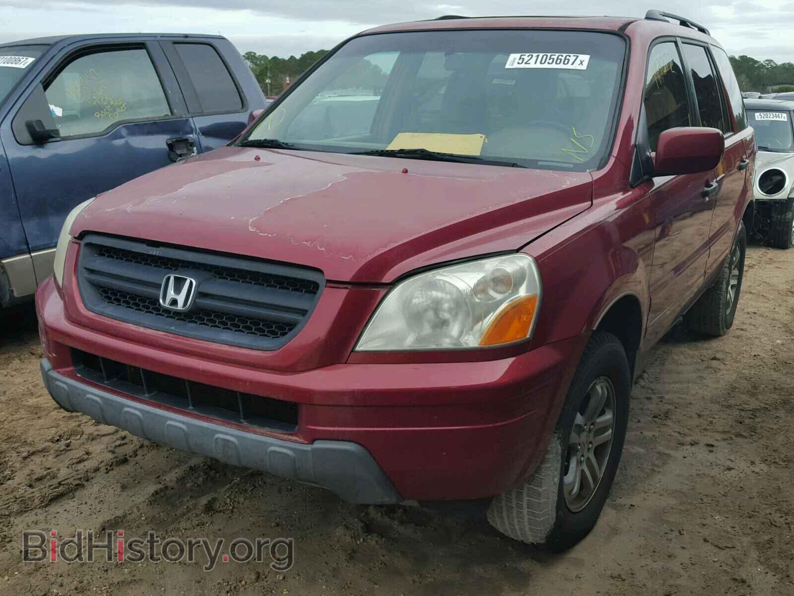 2005 HONDA PILOT - VIN: 5FNYF18555B044690 - Фото 2