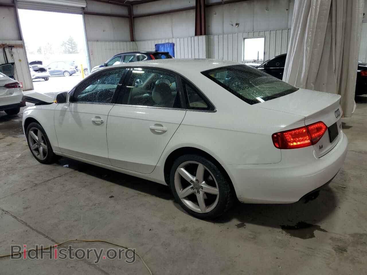 2010 AUDI A4 - VIN: WAUKFAFL9AN044871 - Фото 2