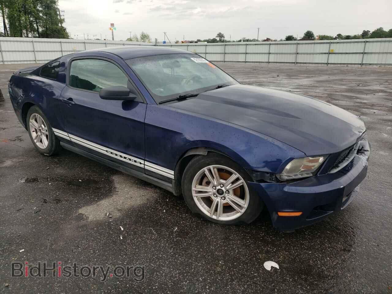 2010 FORD ALL Models - VIN: 1ZVBP8AN3A5146553 - Фото 4