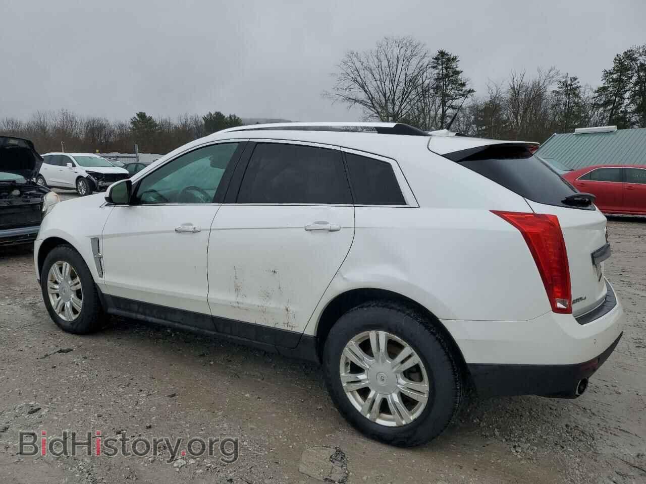 2011 CADILLAC SRX - VIN: 3GYFNDEY6BS628300 - Фото 2