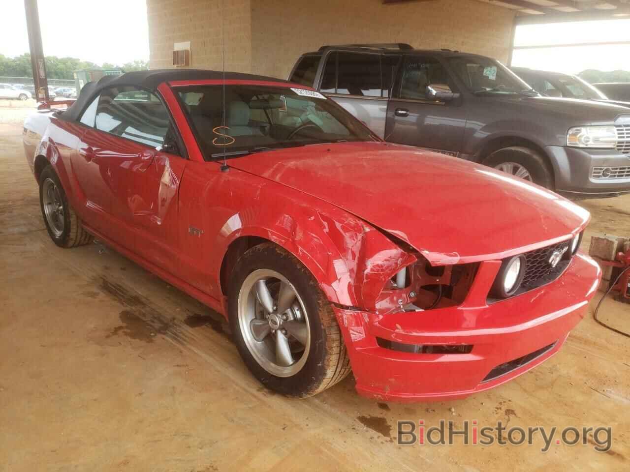 Photo 1ZVFT85HX65254337 - FORD MUSTANG 2006