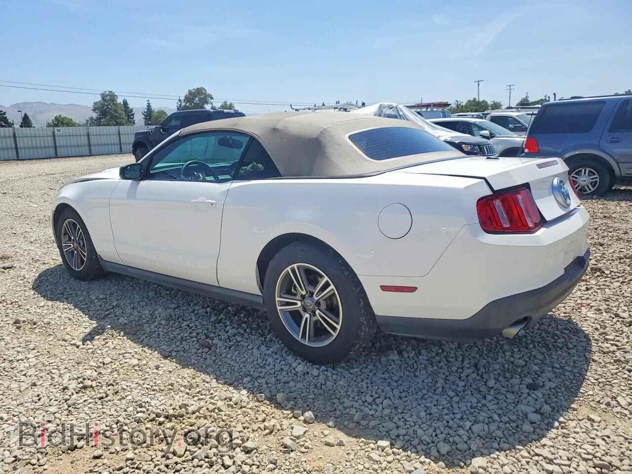2012 FORD MUSTANG - VIN: 1ZVBP8EM1C5236997 - Фото 2