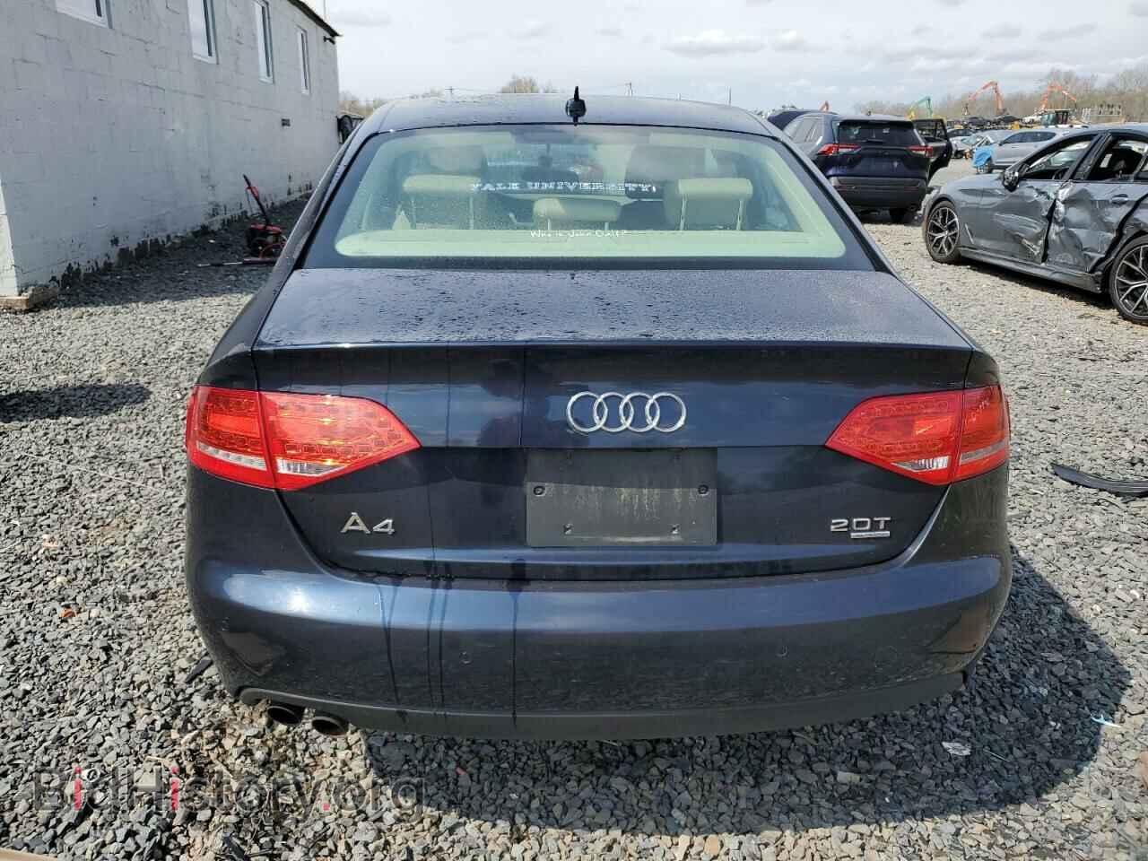 2010 AUDI A4 - VIN: WAUFFAFL2AN058032 - Фото 6