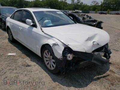 2014 Audi A4 A4 Premium, white — VIN WAUAFAFL0EN031248, Copart