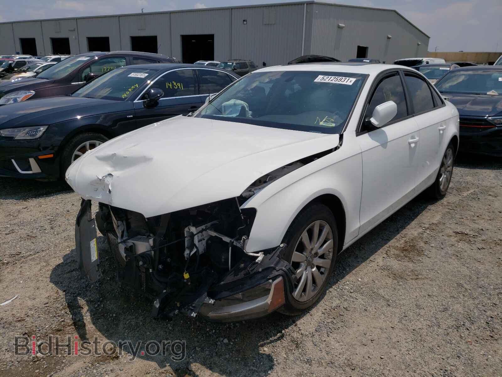 2014 AUDI A4 - VIN: WAUAFAFL0EN031248 - Фото 2