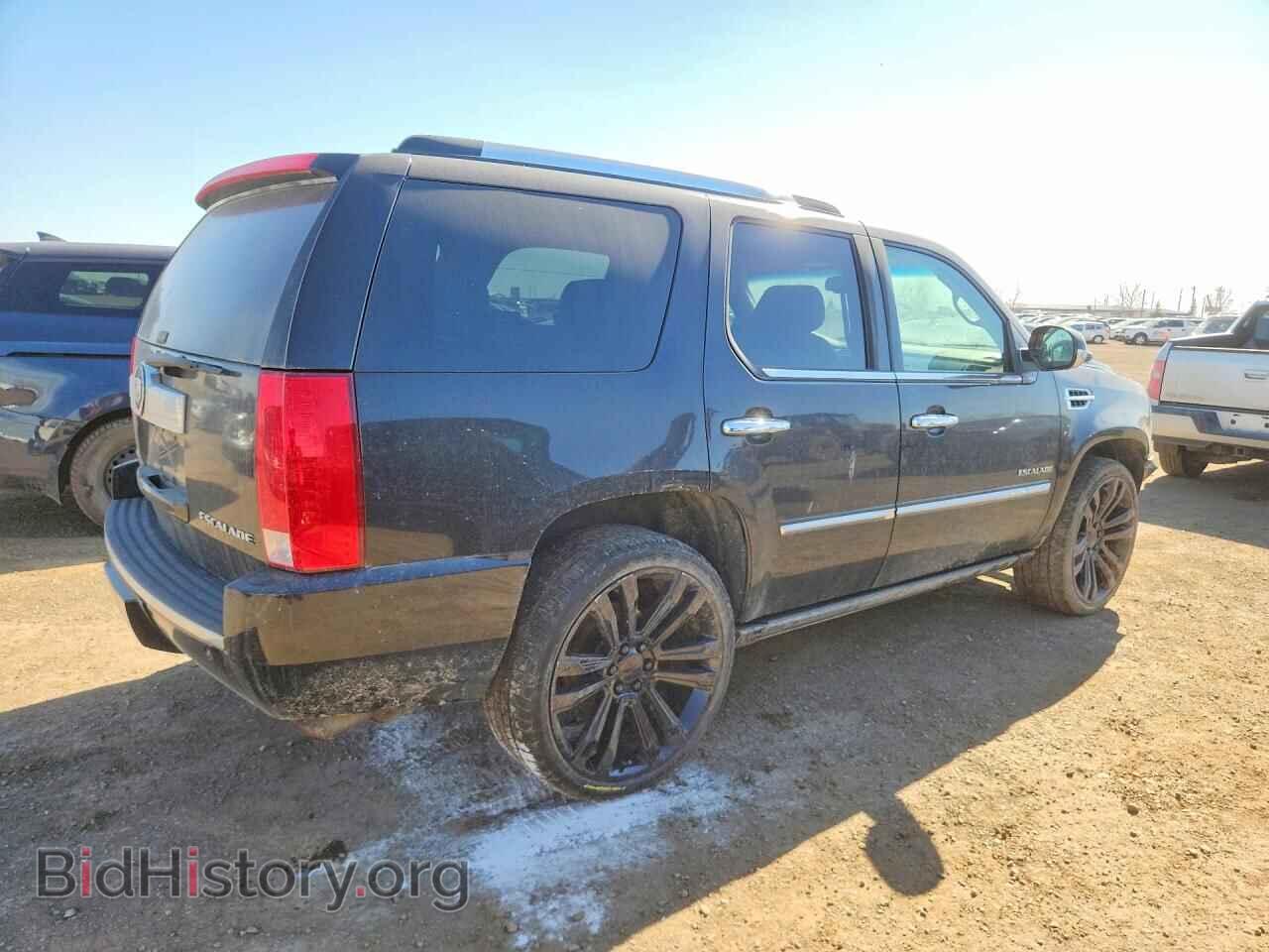 2010 CADILLAC ESCALADE - VIN: 1GYUKCEF4AR120885 - Фото 3