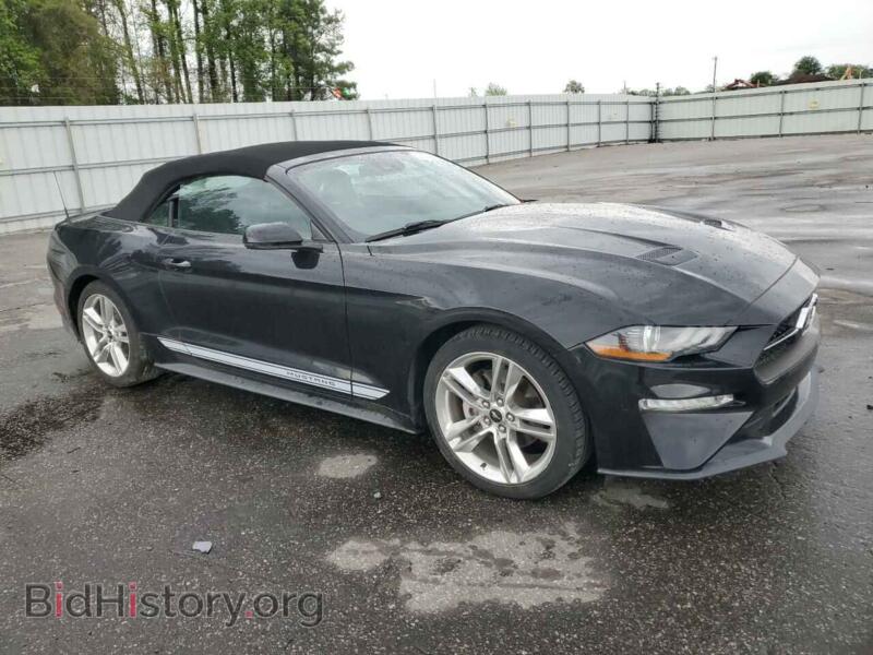 2019 Ford ALL MODELS (VIN 1FATP8UH9K5189220) — фото 4 из 13