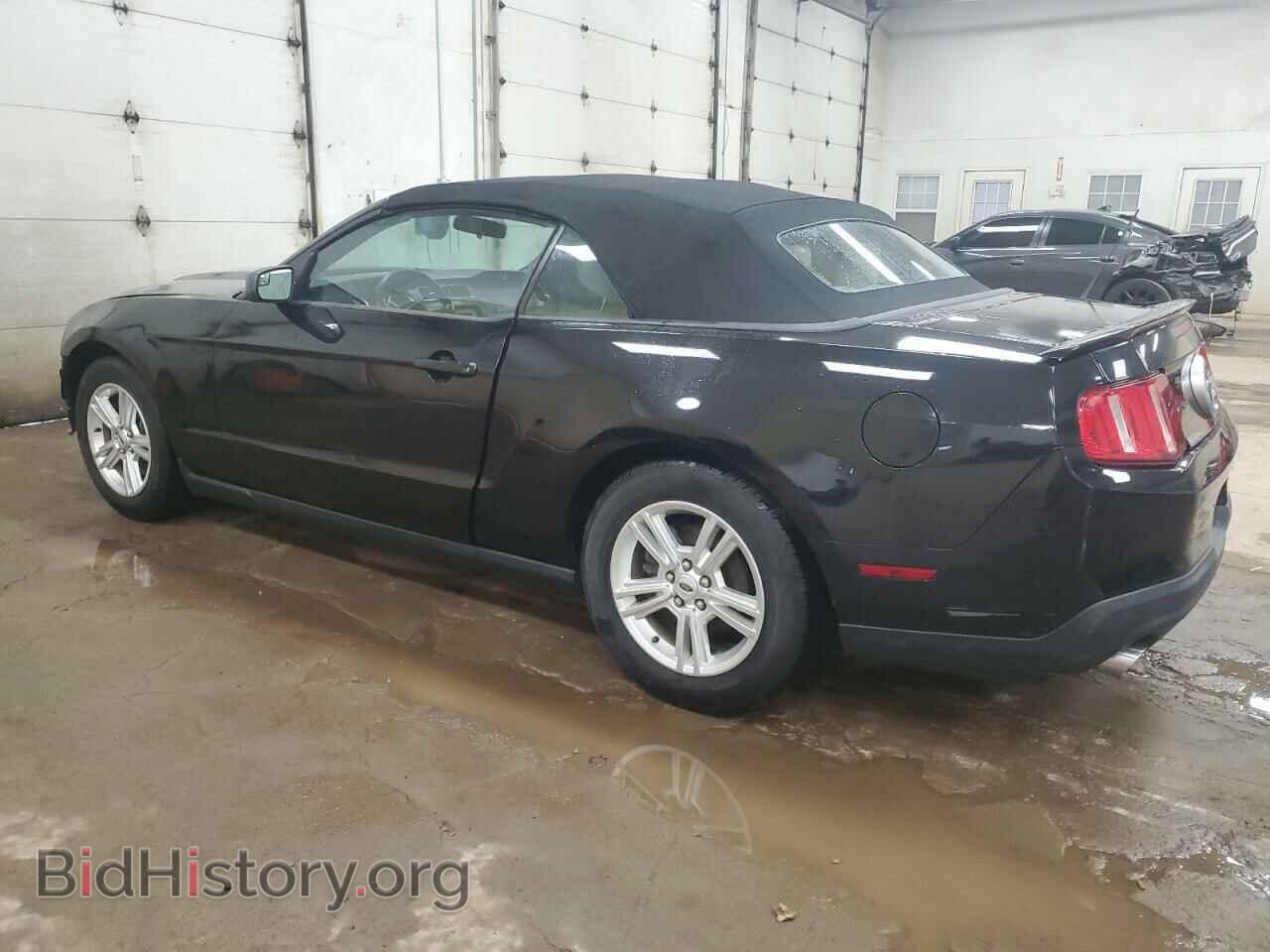 2012 FORD ALL Models - VIN: 1ZVBP8EM7C5203504 - Фото 2