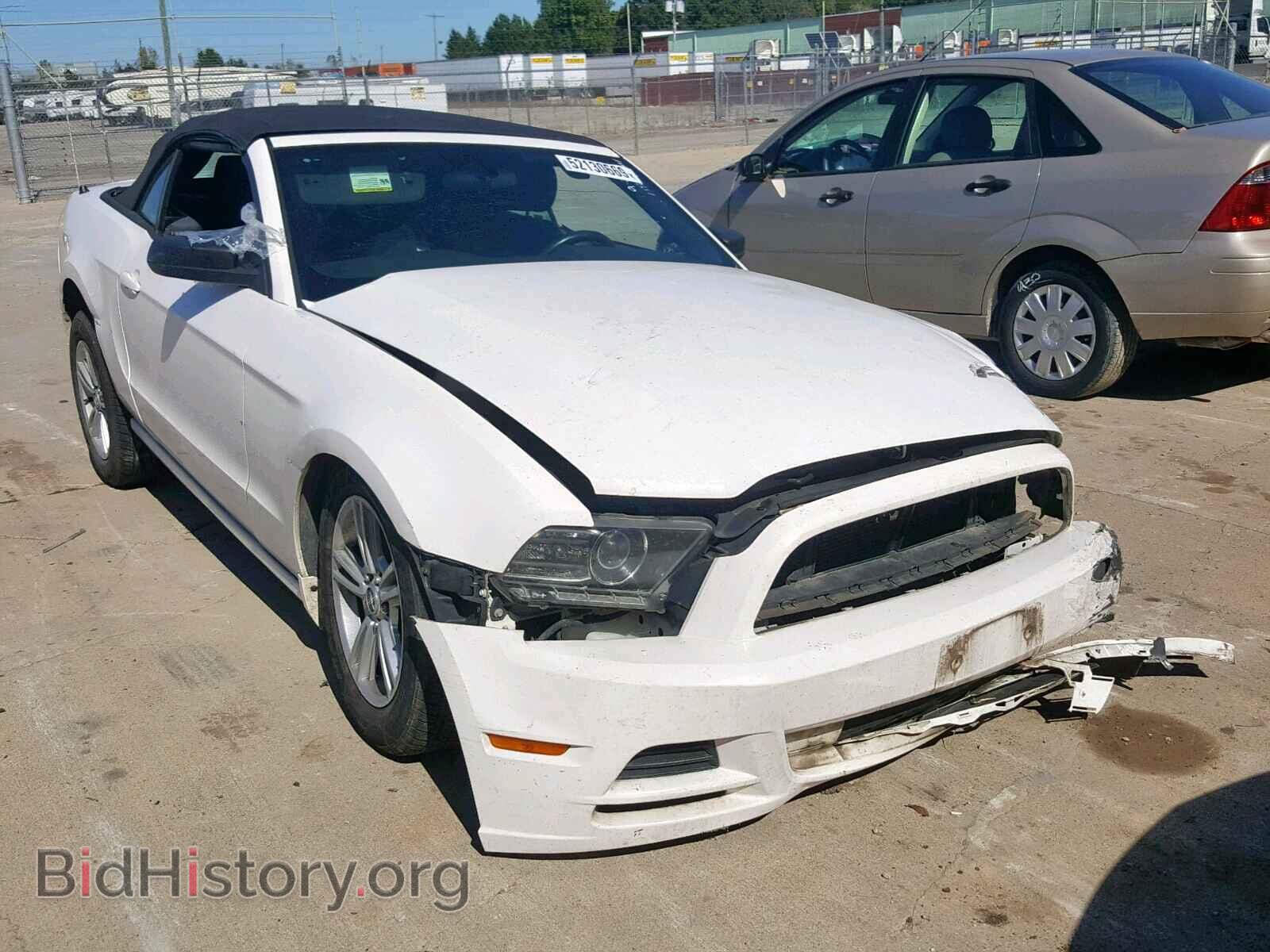 Фотография 1ZVBP8EM2D5203718 - FORD MUSTANG 2013
