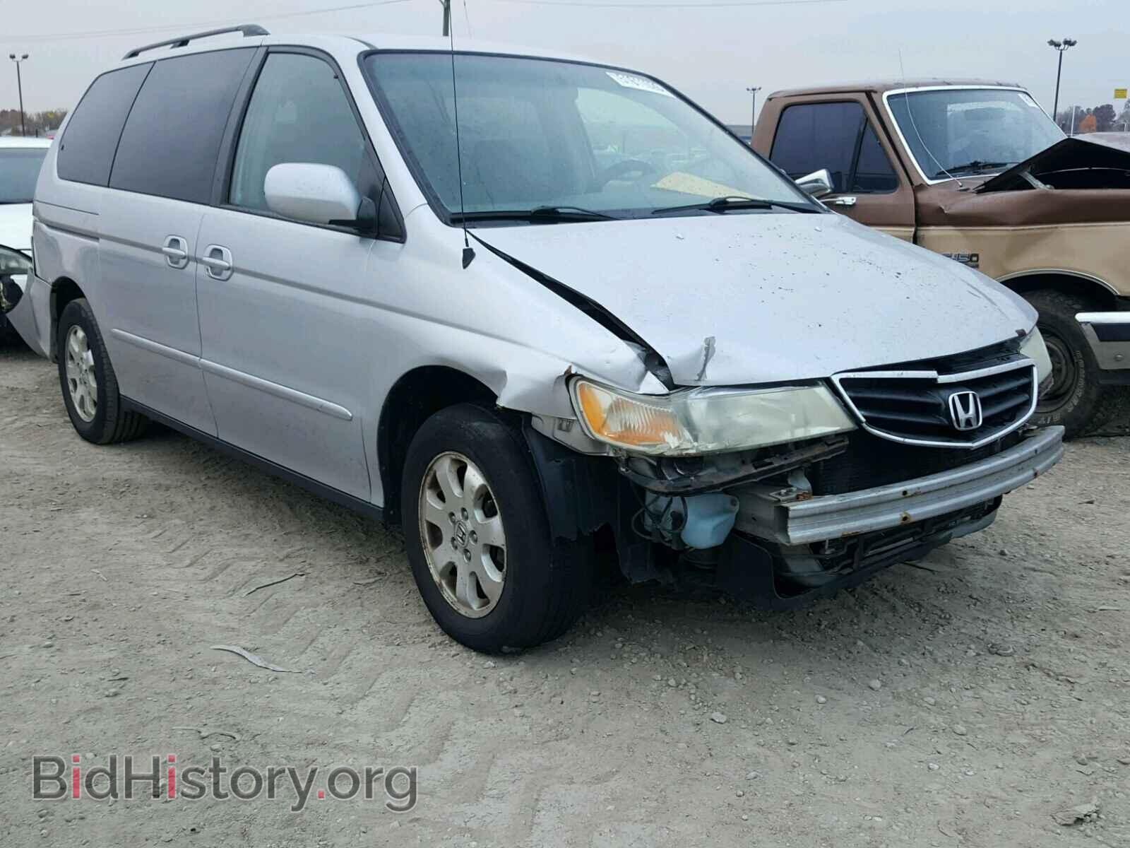 Photo KNAGH4A87A5435831 - KIA OPTIMA 2010