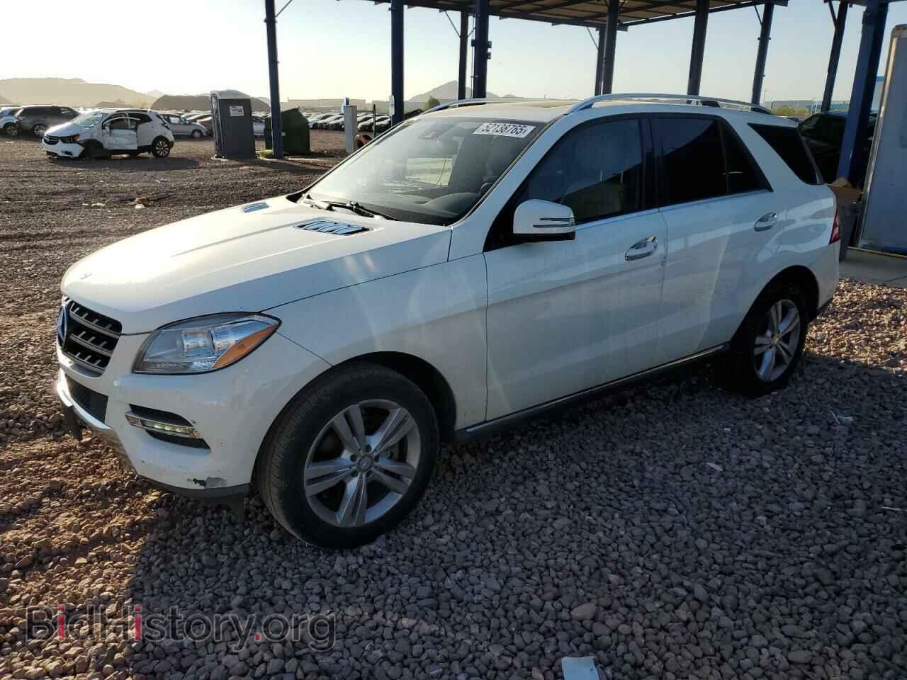 Photo 4JGDA5JB5DA246601 - MERCEDES-BENZ M-CLASS 2013
