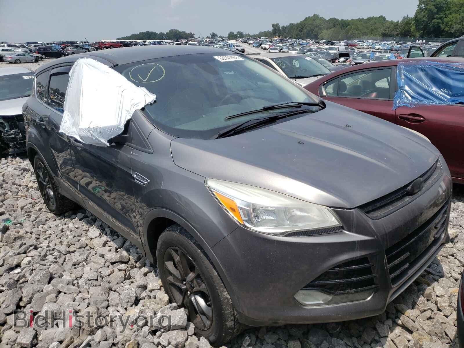 Photo 1FMCU9H98DUA61003 - FORD ESCAPE 2013