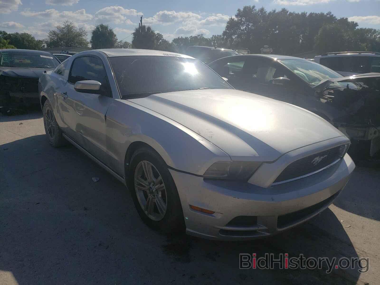 Photo 1ZVBP8AM8E5266555 - FORD MUSTANG 2014
