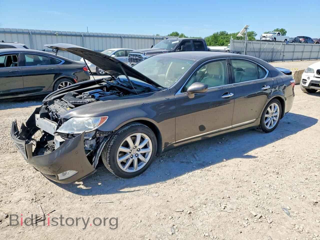 Фотография JTHBL46F085072364 - LEXUS LS460 2008