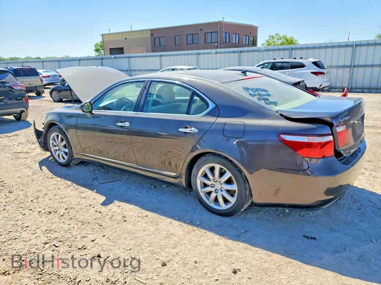 2008 LEXUS LS460 - VIN: JTHBL46F085072364 - Фото 2