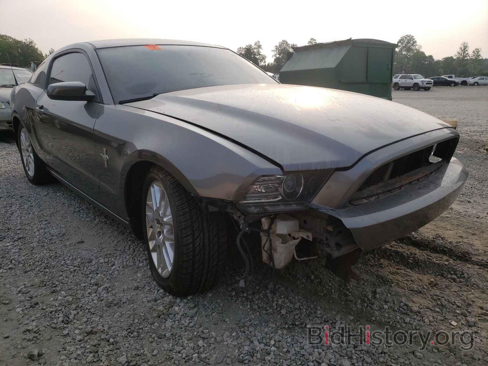 Photo 1ZVBP8AM8E5251540 - FORD MUSTANG 2014