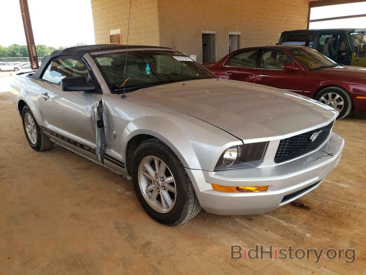 Photo 1ZVHT84N395100816 - FORD MUSTANG 2009