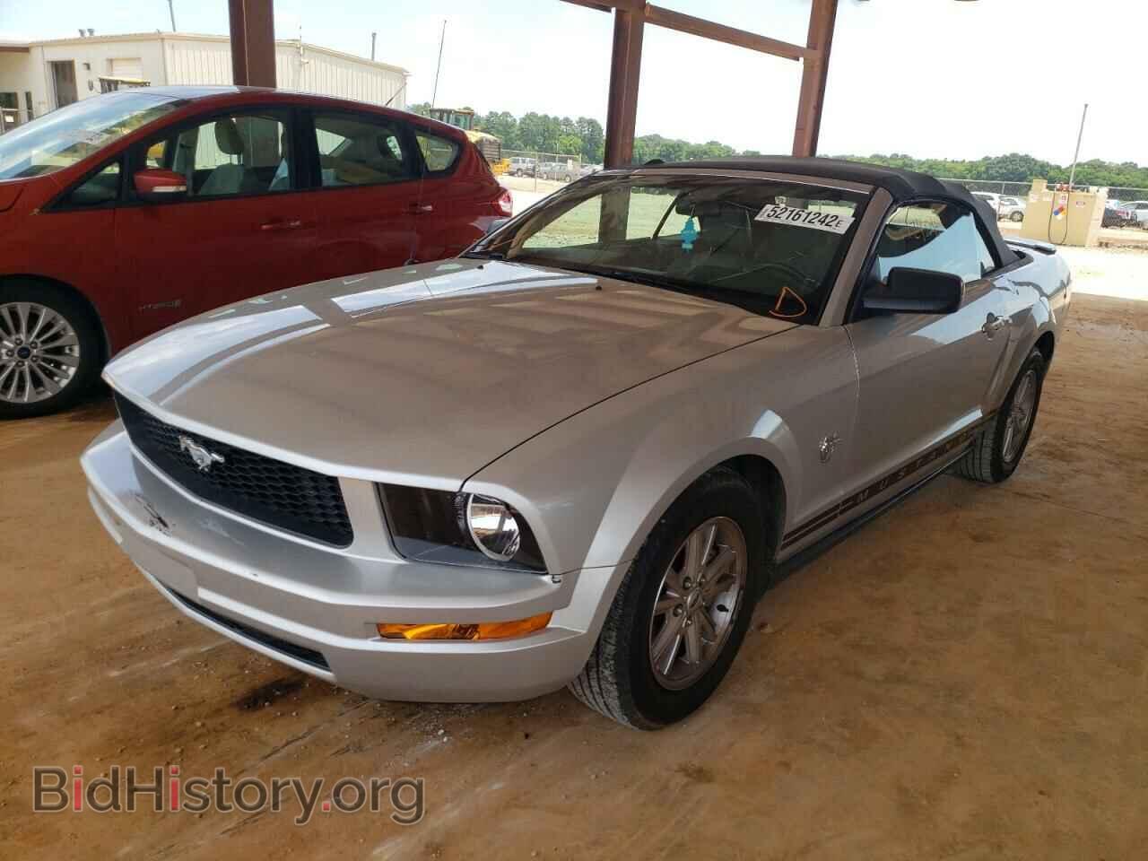 2009 FORD MUSTANG - VIN: 1ZVHT84N395100816 - Фото 2
