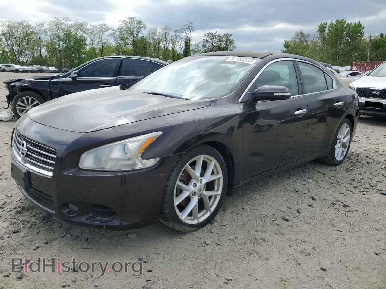 Photo 1N4AA5AP2AC860451 - NISSAN MAXIMA 2010