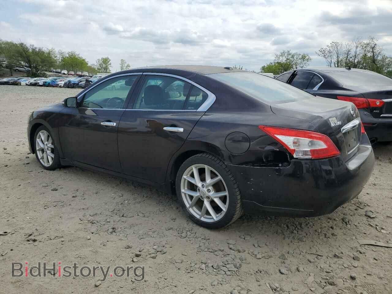 2010 NISSAN MAXIMA - VIN: 1N4AA5AP2AC860451 - Фото 2