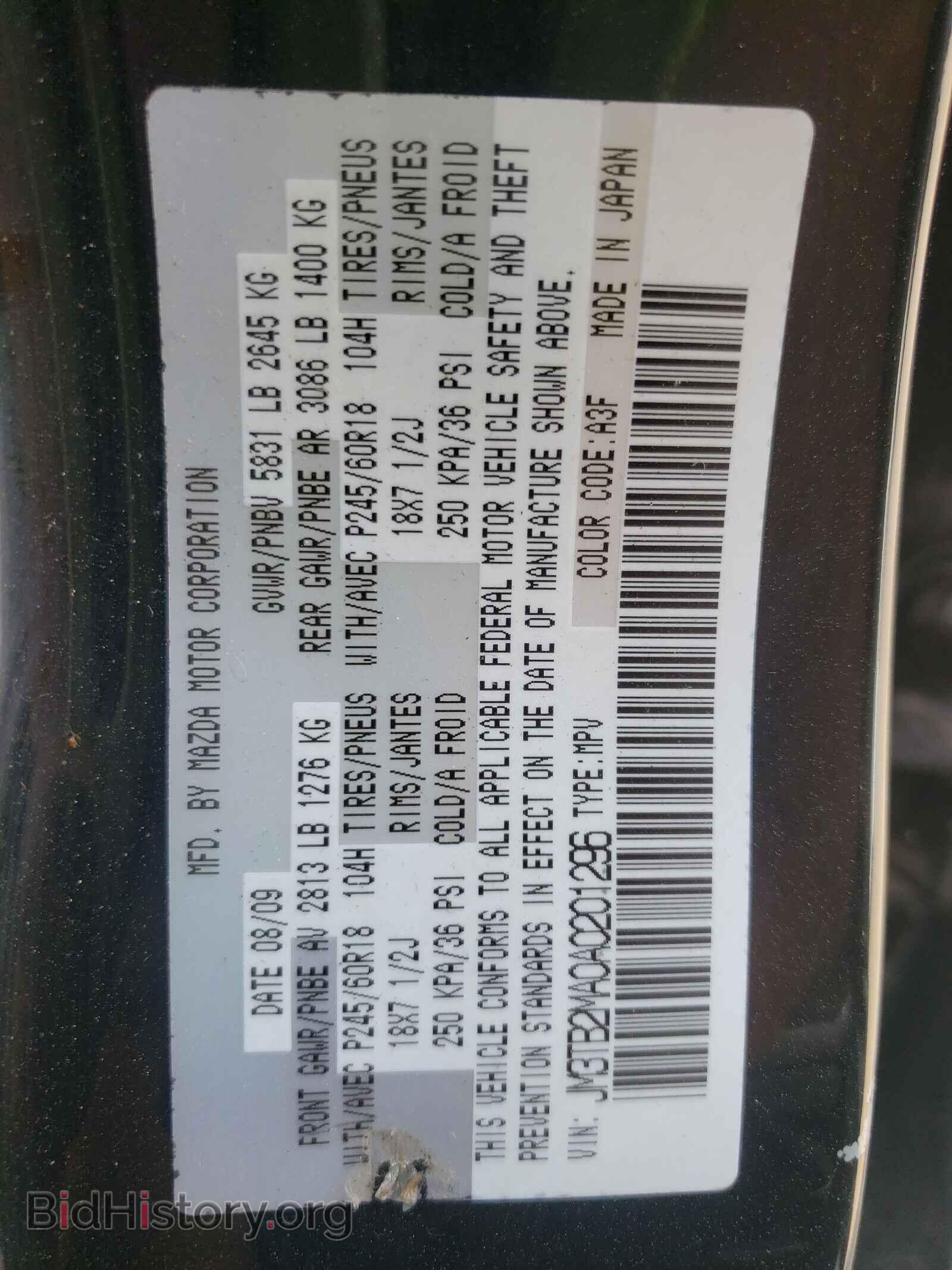 2010 MAZDA CX-9 - VIN: JM3TB2MA0A0201296 - Фото 10