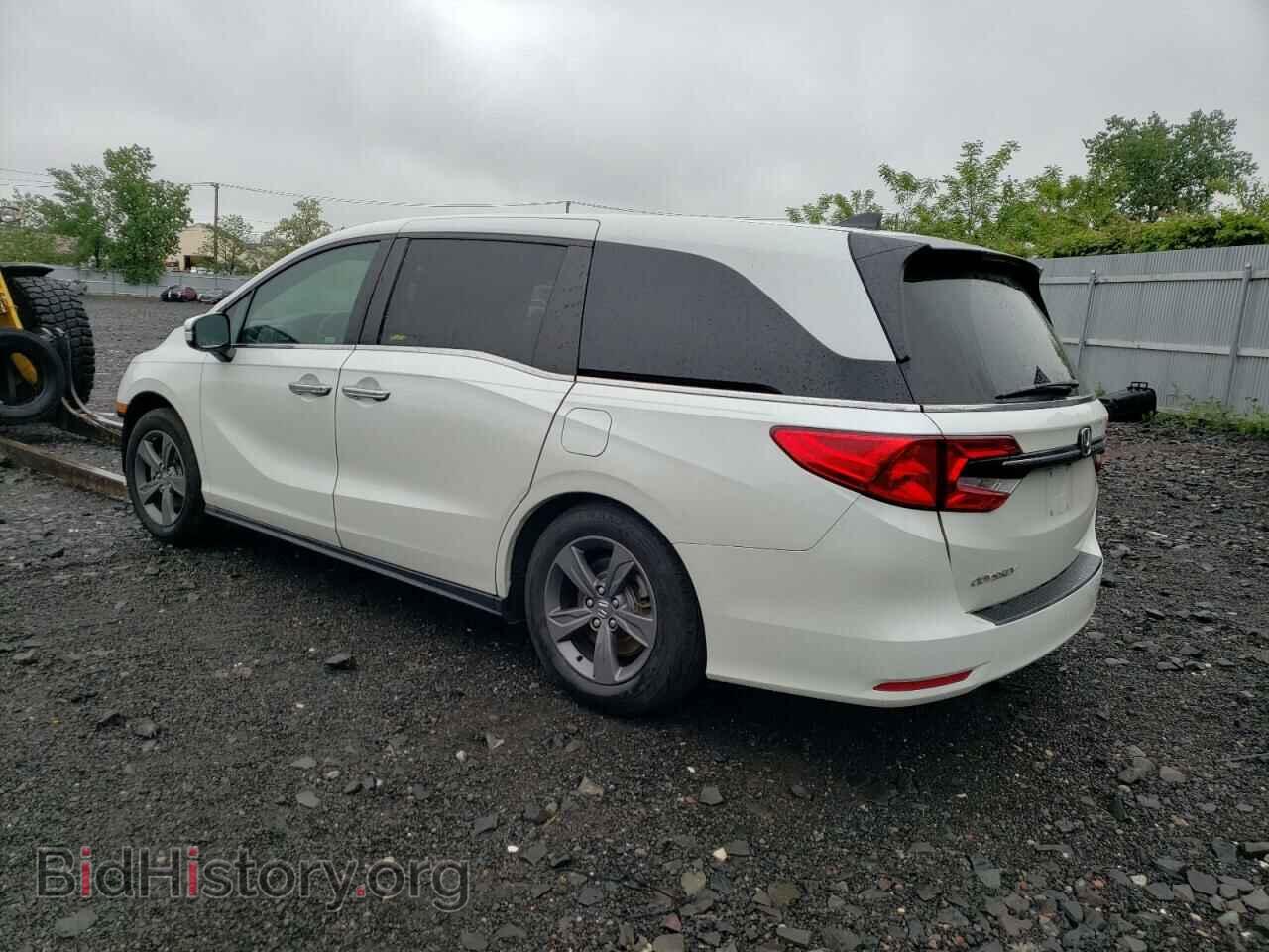 2021 HONDA All Models - VIN: 5FNRL6H57MB014874 - Фото 2