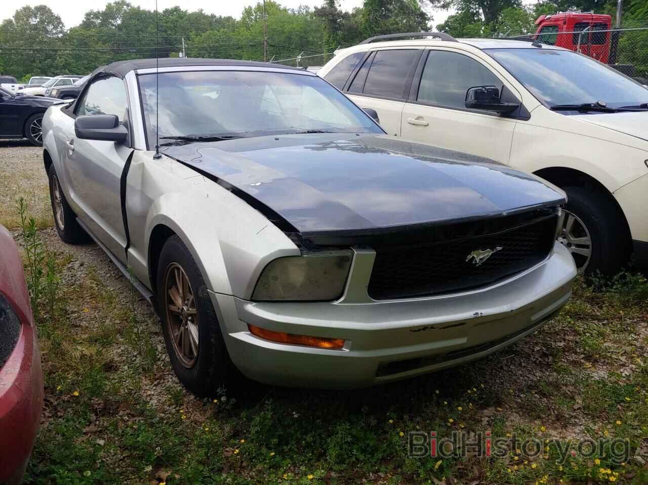 Photo 1ZVHT84N595112448 - FORD MUSTANG 2009