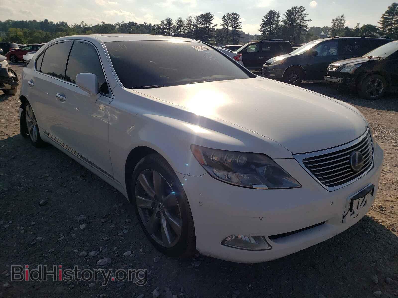 Photo JTHDU46F485003408 - LEXUS LS600 2008