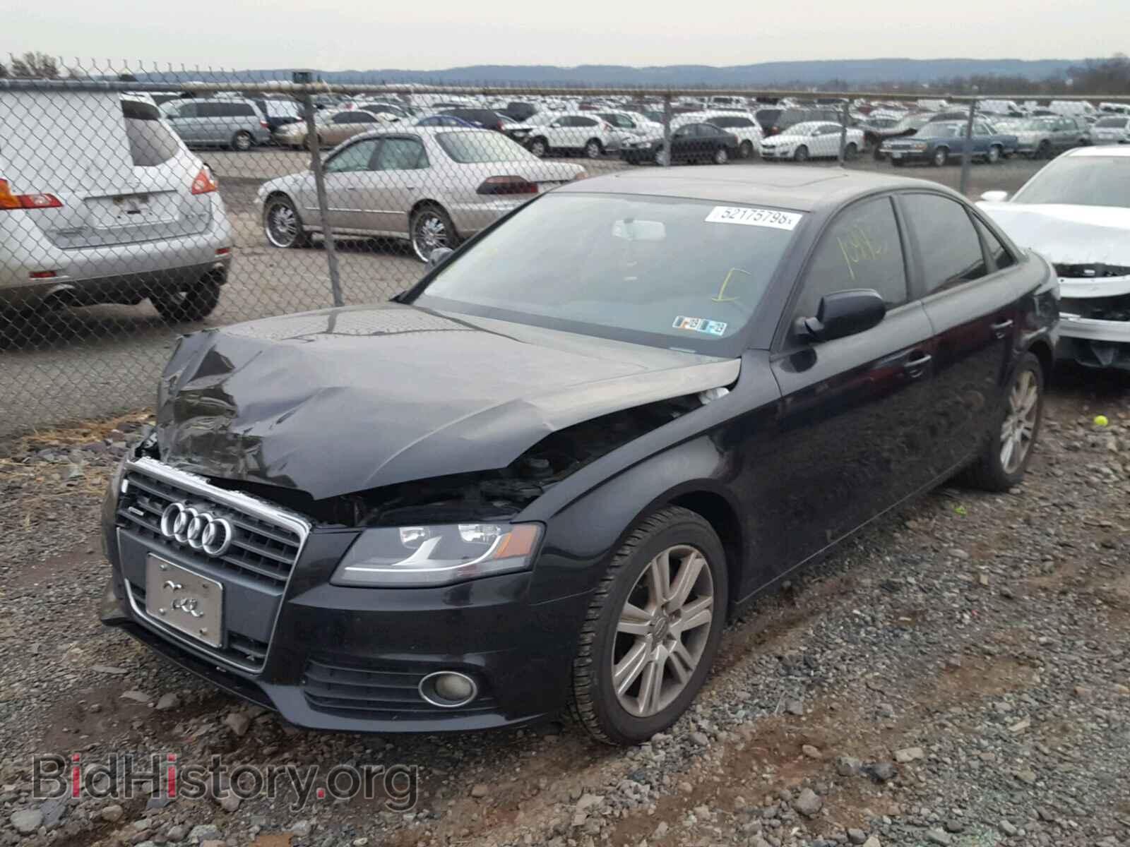 2010 AUDI A4 - VIN: WAUBFAFL0AN016862 - Фото 2
