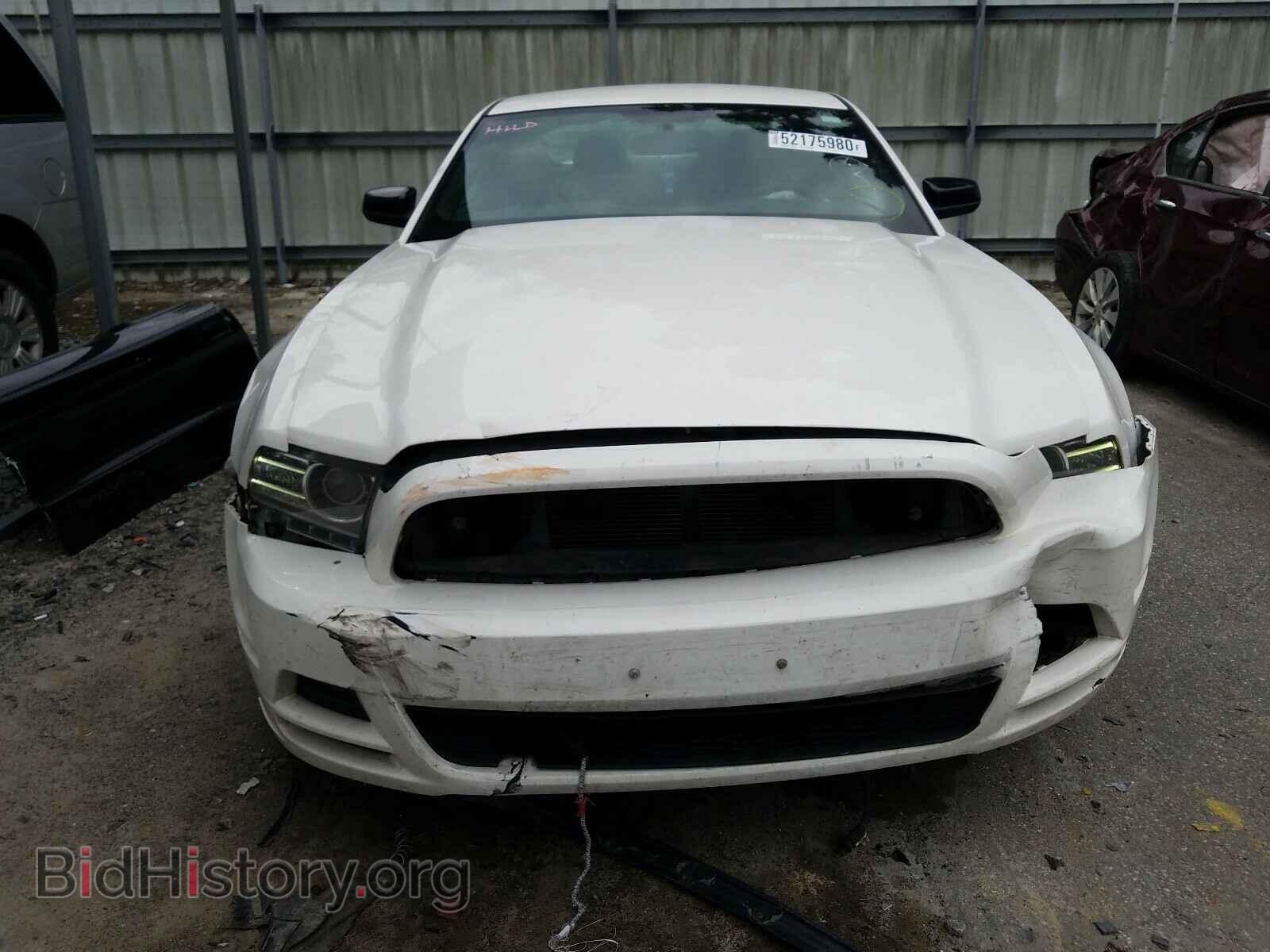 2013 FORD MUSTANG - VIN: 1ZVBP8AM3D5269376 - Фото 9